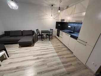 Prenájom 1izboveho bytu Sereď