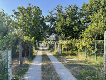 Záhrada v Nitre - v záhradkárskej oblasti