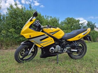 Suzuki GS500F