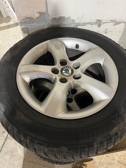 5x100 R15 Skoda 195/65