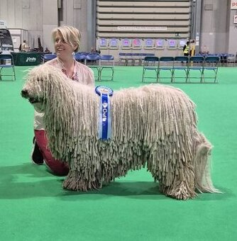 Komondor s PP - 1