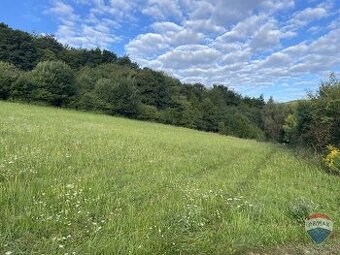 Na predaj rekreačný pozemok 3170m² Trenčianske Teplice