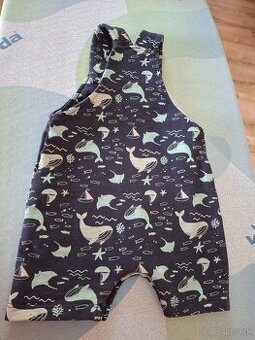 Nové letné body č. 56