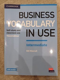 Business vocabulary in use