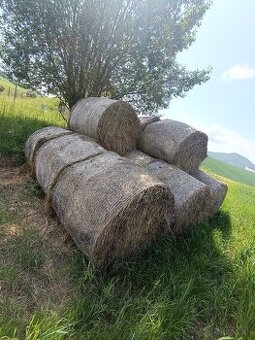 Slama pšeničná