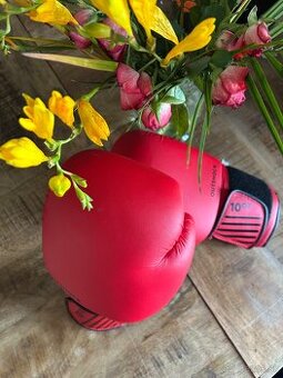 Boxerské rukavice