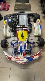 Motokára mskart rotax 125 max