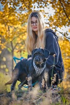 Darujem malú strapatú sučku Muriel - mix bradáč / jazvečík