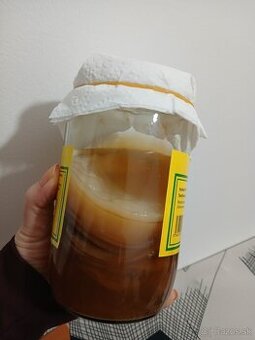 Kombucha plus Navod gratis