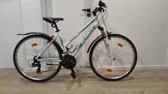 Krosovy bike Kellys alpina eco lc10