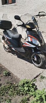 Motorro shark