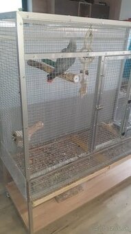 Klietka pre papagaja