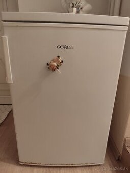 Chladnička s mrazničkou