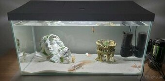 Akvárium 54l + Axolotl mexický