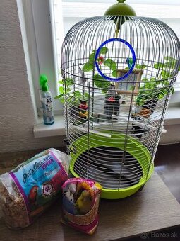 Klietka pre menšie vtáky