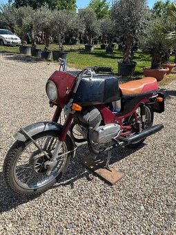 Jawa Bizon