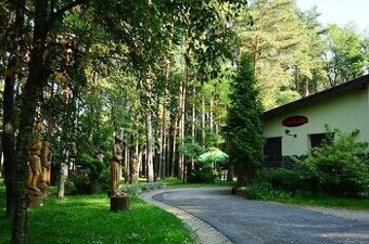 Čašníčka/brigadnicka/výpomoc