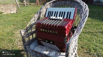 Harmonika -Akordeon.Delícia Junior 72basová.