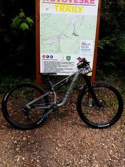 Canyon neuron 5