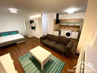 Prenájom zariadeného 1 izbového bytu s garážovým státím Zvol