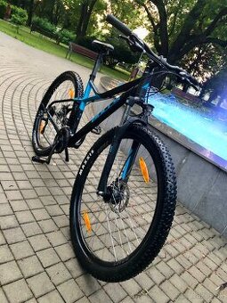 Bulls Street 29”