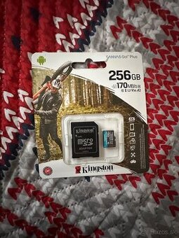 Pamäťova karta 256gb