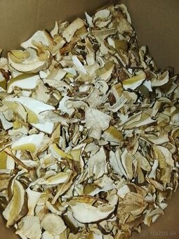 Predám tohtoročné dubáky