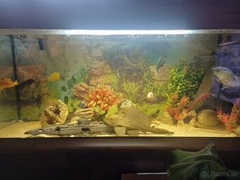 Akvárium 300 L+ ryby