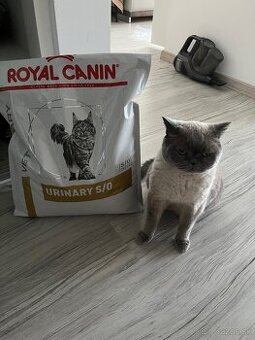 Royal canin urinary s/0