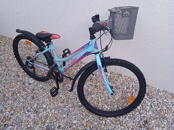 CTM Mony 24"