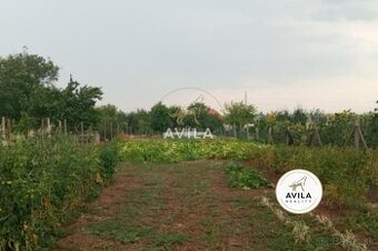 NA PREDAJ: stavebný pozemok 1962m2 s menším RD - Šoporňa