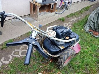 Dakr bubnova kosacka