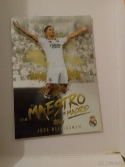 Predaj vzácnej karty