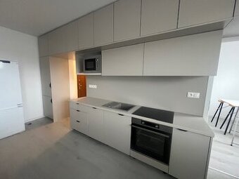 Novo zrekonštr. 2 izb. byt s loggiou, P.Horova