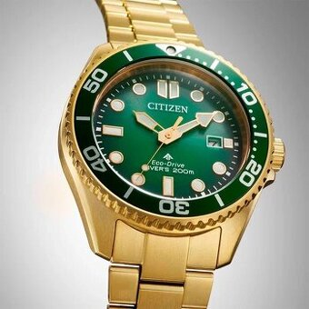 Citizen Promaster