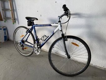 Author Classic 20”