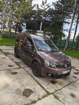 Predam Caddy - 1