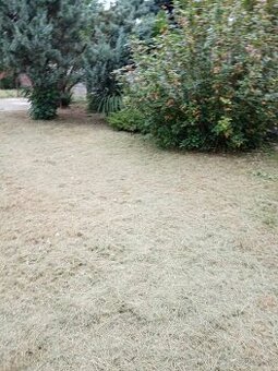 Predaj rodinného domu