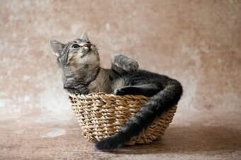 ❤ Dorka - jemná a zlatá dáma