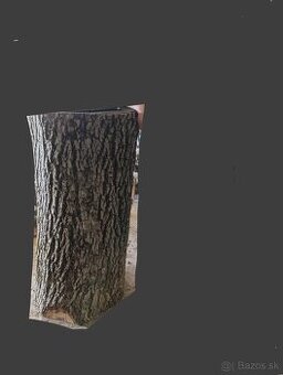 Orechový peň / kmeň