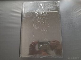 Anatomie pro výtvarníky