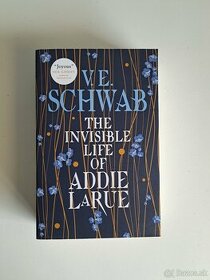 The invisible life of Addie LaRue