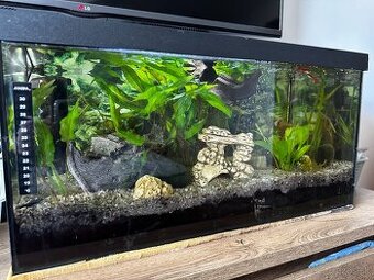 Akvárium 55L