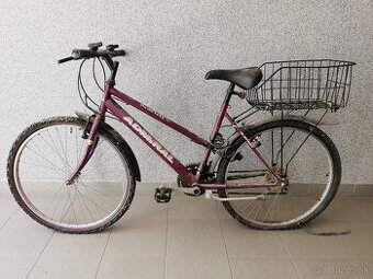 Stary bicykel bordovy