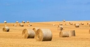 slama okruhle baliky- KVALITA