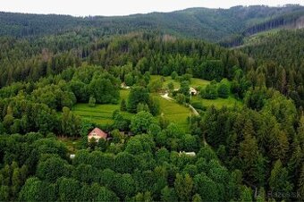 Les / lesný pozemok – Skalité, Čierne, Svrčinovec