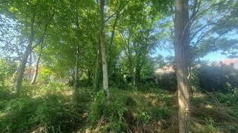 Pozemok, ktorý nečaká na bagre – ale na nápad.