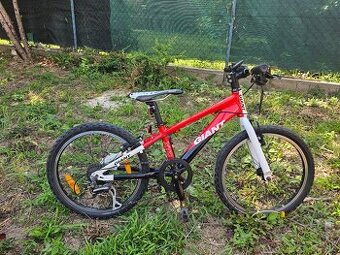 Detsky bicykel Giant 20 palcov