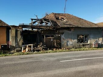 Ponukam tehly a drevo s Rodinneho domu Tekovske Luzany