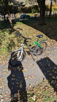 Horsky bike kenzel
